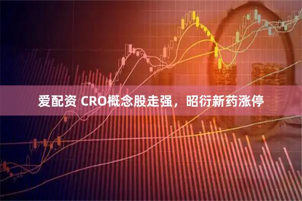 爱配资 CRO概念股走强，昭衍新药涨停