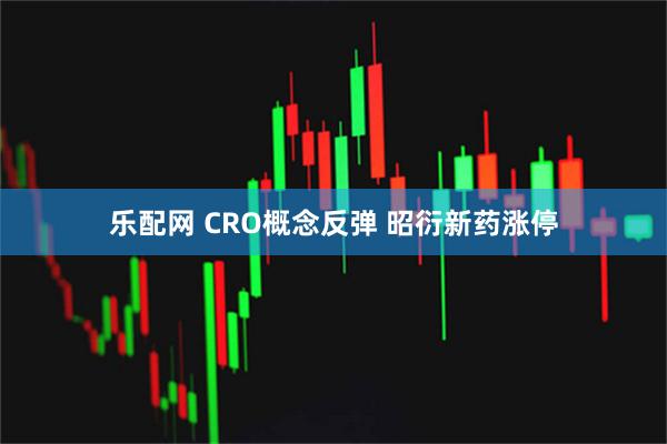乐配网 CRO概念反弹 昭衍新药涨停