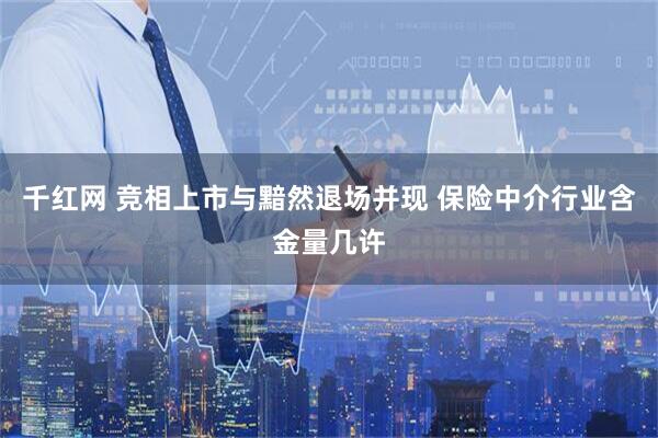 千红网 竞相上市与黯然退场并现 保险中介行业含金量几许